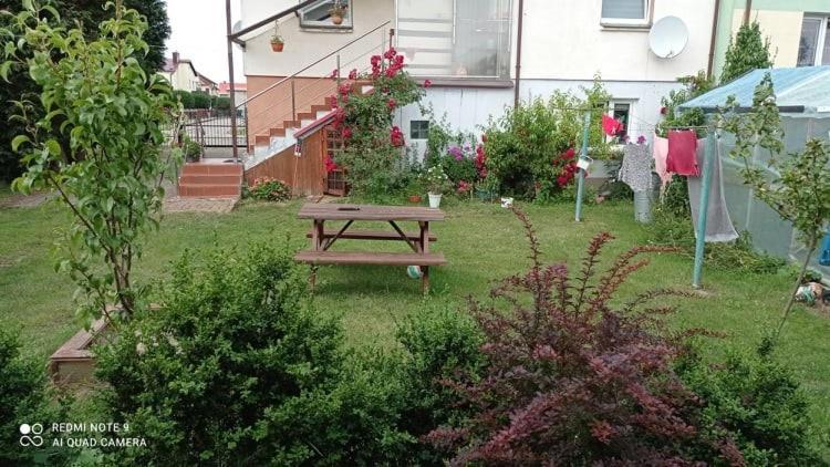 Domki Letniskowe U Janka Ustronie Morskie Dış mekan fotoğraf